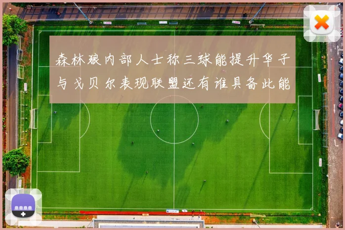 森林狼内部人士称三球能提升华子与戈贝尔表现联盟还有谁具备此能力